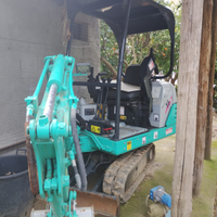 Mini Escavatore 15 quintali