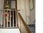 Immagine 7