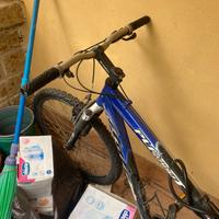 Bici atala montain bike(NON SPEDISCO!!)