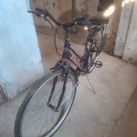 bici da passeggio con sediolino per bambini 