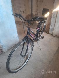 bici da passeggio con sediolino per bambini 