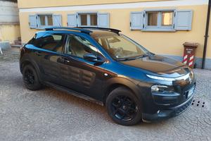 C4 CACTUS