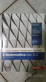 Matematica blu terza edizione