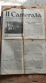 WW2 Il camerata settimanale lavoratori in Germania