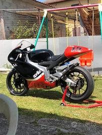 monoposto codone codino Aprilia rs 125/ 50 