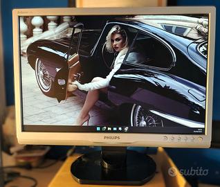 Schermo PC Monitor Philips Brilliance 190S 19" LCD