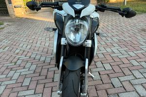 MV AGUSTA DRAGSTER 800