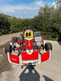 Kart Tm 125cc K9b+ Telaio Birel 2020