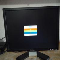 monitor Dell