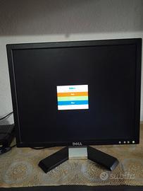 monitor Dell