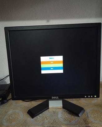 monitor Dell