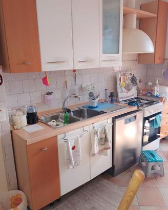 Cucina del Tongo