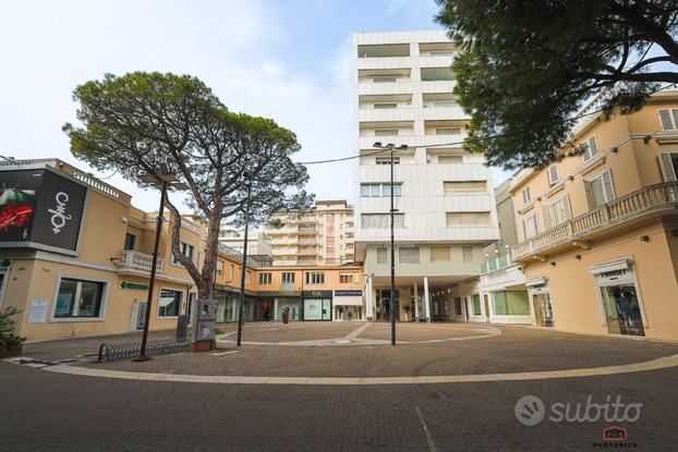 APPARTAMENTO LUMINOSO SU VIALE CECCARINI CON TERRA