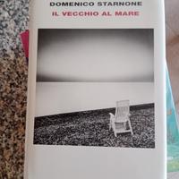 il vecchio al mare , Domenico Starnone