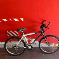 Bicicletta in buone condizioni