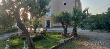 Ultimissimi per la tua estate di relax