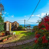 CASA OHANA