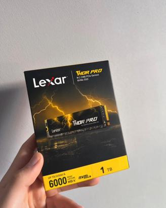 Sd 1tb lexar perfetta