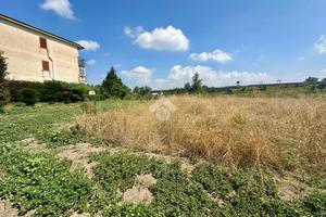 TER. AGRICOLO A NAPOLI