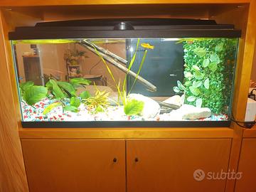 Acquario completo
