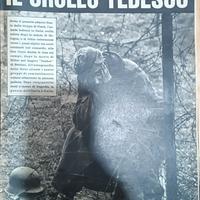 Collana Italiani nella bufera – 16 volumi