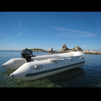 Gommone tender e motore fuoribordo 4cv