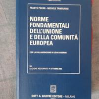 Norme fondamentali dell' unione europea