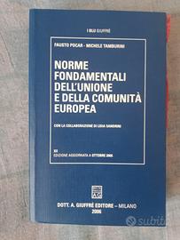 Norme fondamentali dell' unione europea