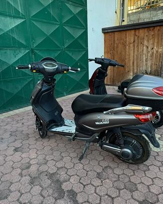 scooter/bici elettrica (Leggere descrizione)