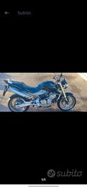 Honda hornet 
