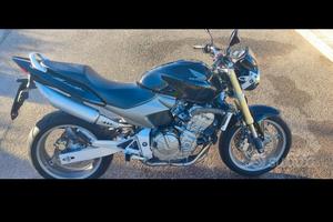 Honda hornet 