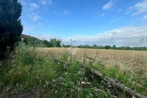 TER. AGRICOLO A NOVI LIGURE
