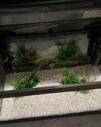 Aquario 60 litri