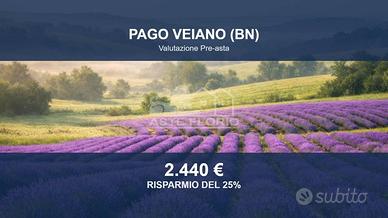 Immobile in asta di 240 m² a Pago Veiano