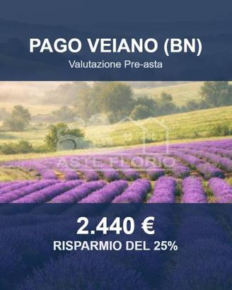 Immobile in asta di 240 m² a Pago Veiano