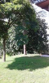 Porzione di grezzo su villa