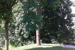 Porzione di grezzo su villa