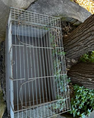 Gabbia coniglio