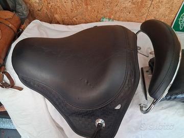Sella springer heritage