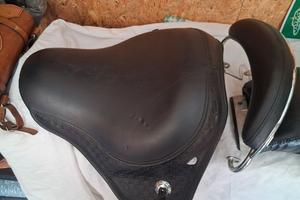 Sella springer heritage