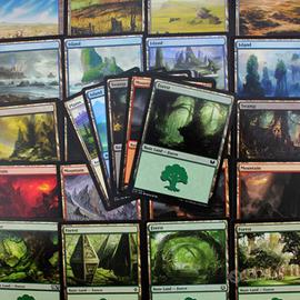 Lotto 50 Terre Base Magic: The Gathering