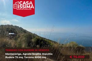 Montecorice rudere con terreno