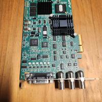 AJA Xena LHe HD SDI con Breakout box e cavo