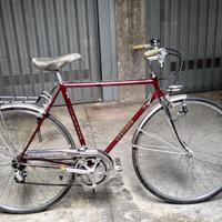 Bicicletta da uomo