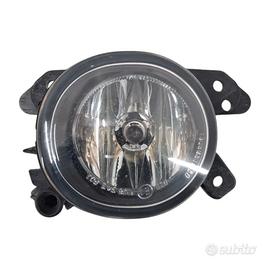 Fari fendinebbia classe b w 245