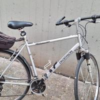 Bicicletta da uomo