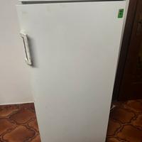 Freezer cm 125 + frigo in omaggio