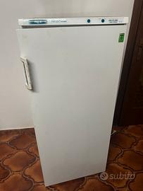 Freezer cm 125 + frigo in omaggio