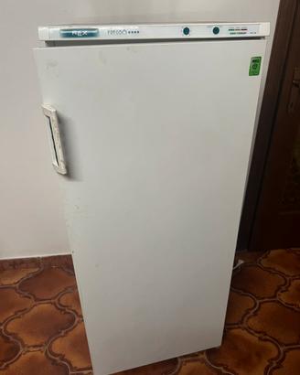 Freezer marca REX ZANUSSI