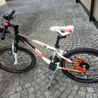 mtb Torpado iaguaro 24